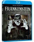 Frankenstein (Blu-Ray)