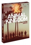 Animal Kingdom - Stagione 1 (3 DVD)