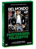 Professione poliziotto