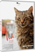 Kedi - La citt dei gatti