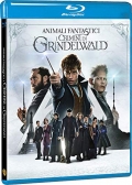 Animali Fantastici - I crimini di Grindelwald (Blu-Ray)