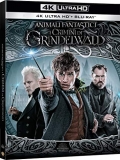 Animali Fantastici - I crimini di Grindelwald (Blu-Ray 4K UHD + Blu-Ray)