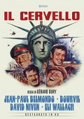 Il cervello (2 DVD)