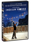 Indian horse