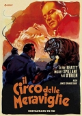 Il circo delle meraviglie