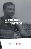 Il colore della fatica