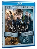 Animali Fantastici Collection (2 Blu-Ray)