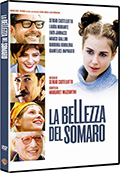 La bellezza del somaro