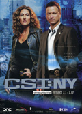 CSI New York - Stagione 2, Vol. 1 (3 DVD)