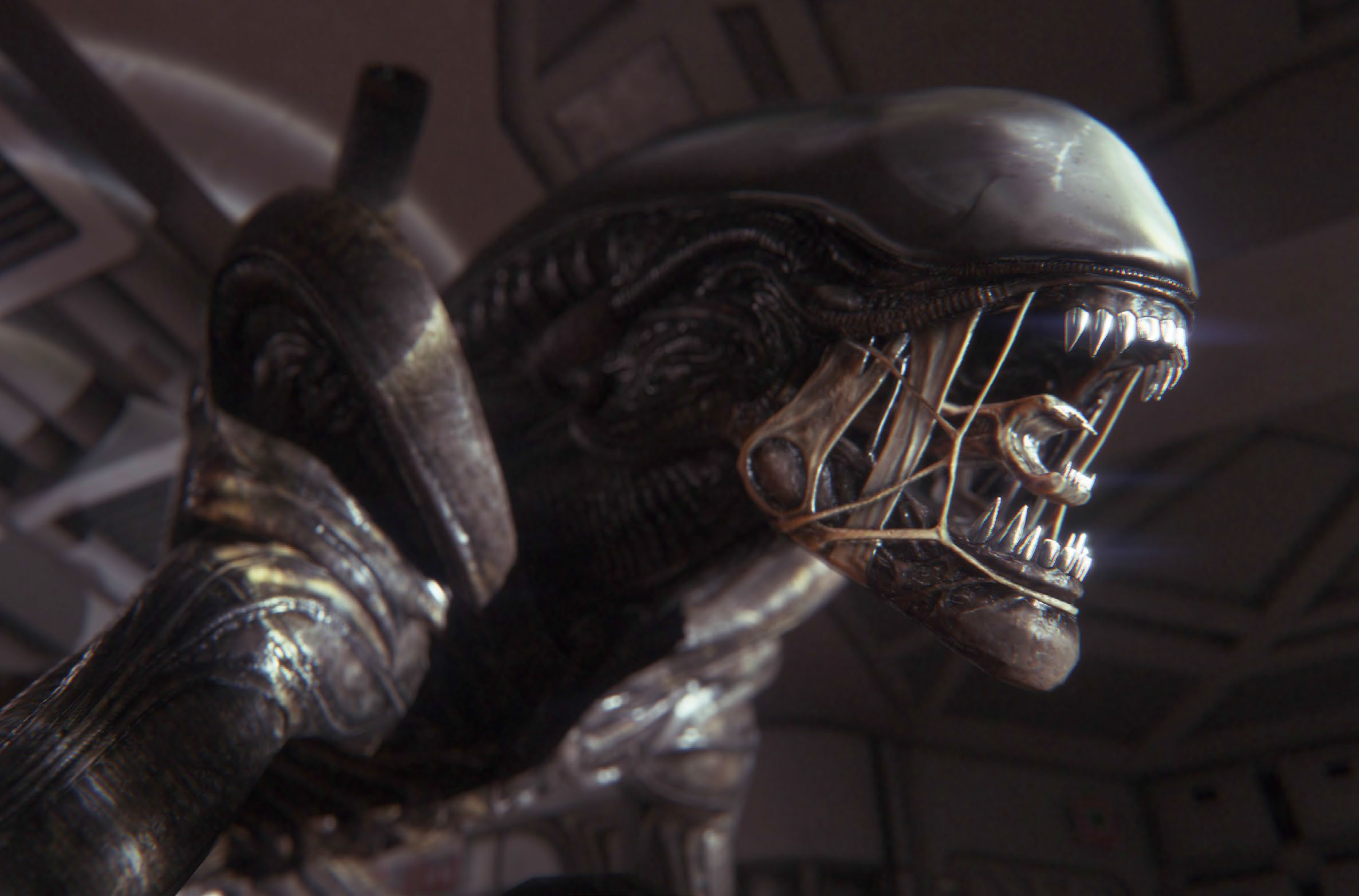 Alien 5, diretto da Neill Blomkamp!!