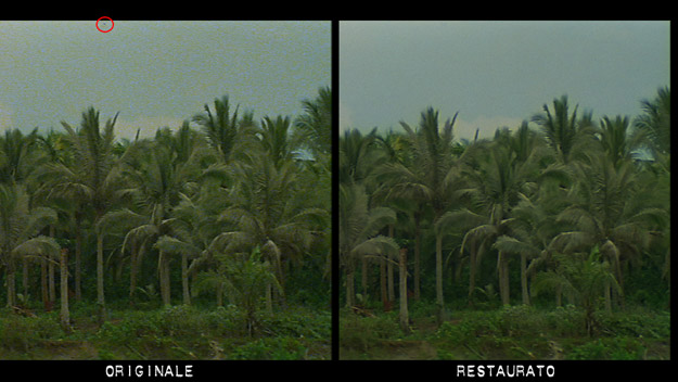 Apocalypse Now: vecchie e nuove versioni a confronto!