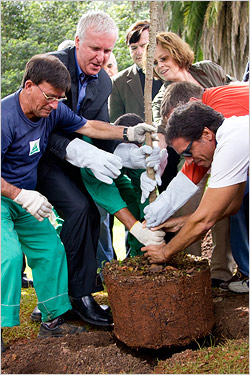 Avatar: un lancio da un milione di alberi!