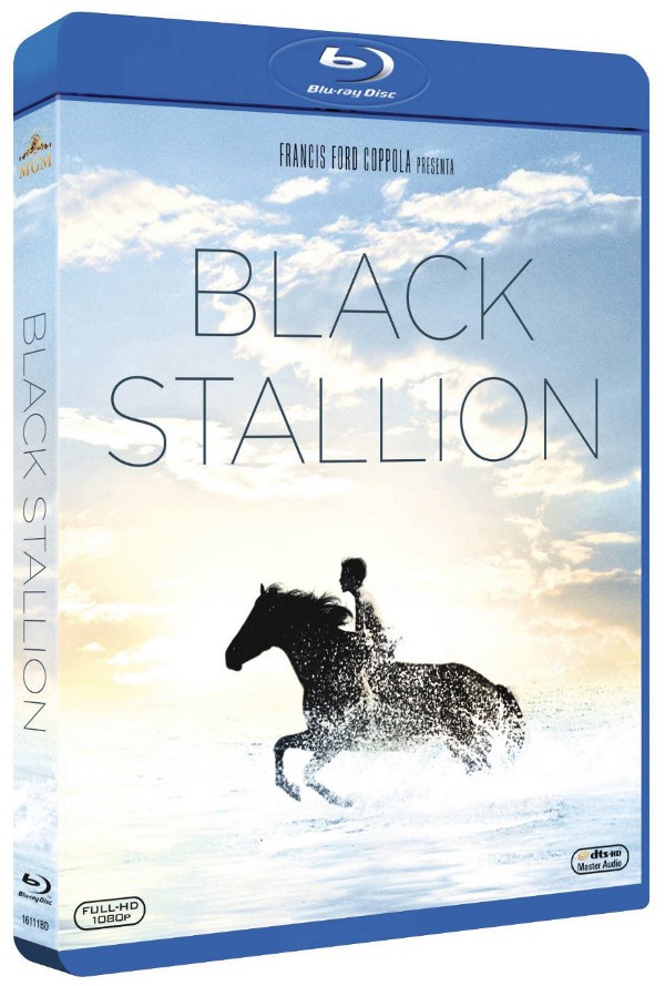 Black Stallion al galoppo verso l'Italia!