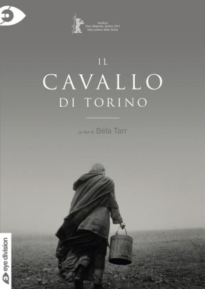 Il cavallo di Torino a maggio!